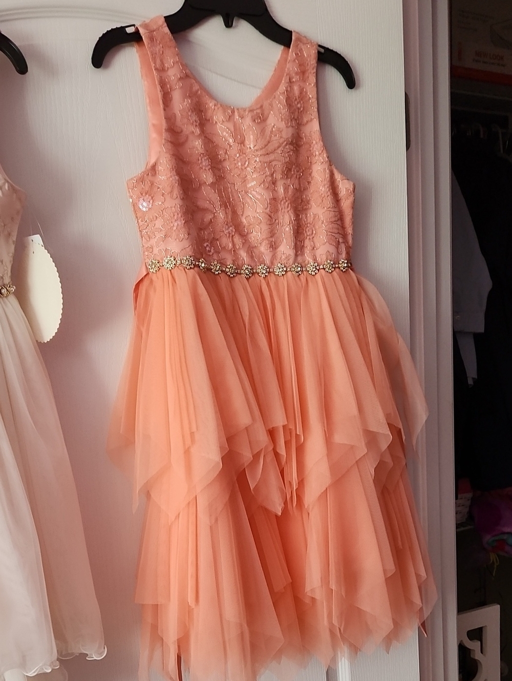 American Princess Peach Lace Bodice Layered Tulle Dress with Floral Waistband
